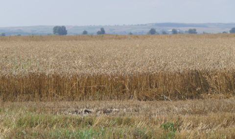 Вашингтон търси алтернативни варианти за износ на украинското зърно - 1