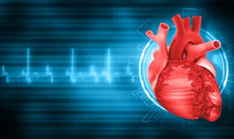 Рак на сърцето: Защо е толкова рядък? - 1