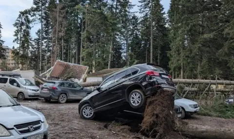 Силният вятър прекърши борове в курорта Боровец! Задействана е и системата BG-ALERT СНИМКИ