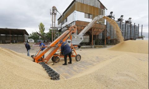 Държава забрани износа на пшеница и ечемик - 1