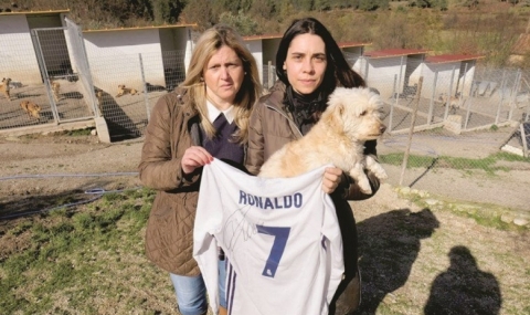 Кристиано Роналдо спаси кучешки приют - 1