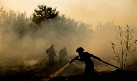 Пожар изпепели 30 декара гори в Кърджалийско - 1
