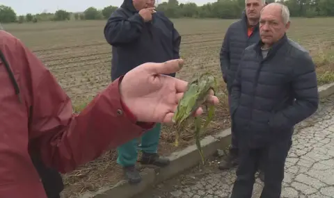 There is a lot of damage to the agricultural lands in the village of Slavovitsa  - 1