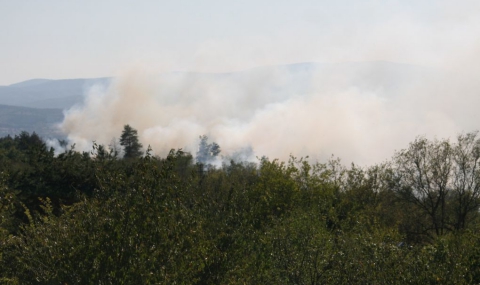 63 000 дка гори са изгорели при пожарите - 1