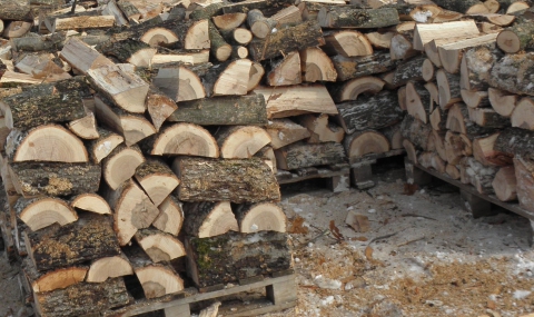 Увеличават добива на дърва за огрев с 10% - 1