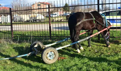 2-годишно дете и майка му загинаха при сблъсък между влак и каруца. Бащата: В шок съм