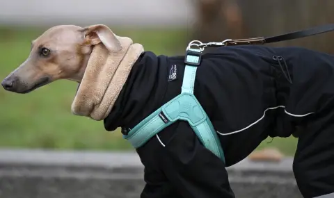 Георги Рачев: Ледени дни сковават България за Нова година, температурите падат до -25 градуса