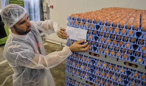 Още заразени яйца в Европа - 1