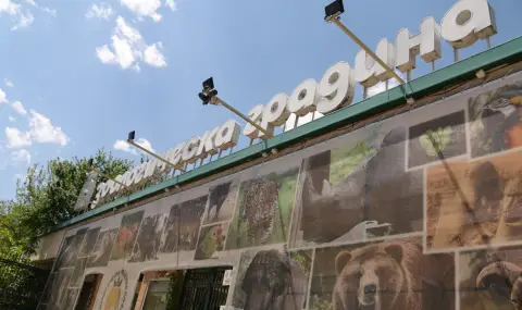 Затварят една от залите в Софийския зоопарк  - 1