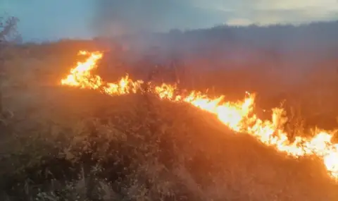 Продължава борбата с огъня край село Габровница - 1