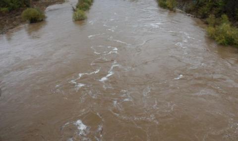 Тополница побеля край Поибрене - 1
