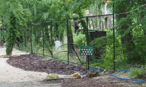 Съдът образува дело срещу решението за спиране на тока на постройки в "Баба Алино"