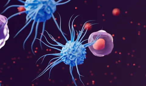 Учени разбраха как имунните клетки атакуват бактериите и вирусите - 1