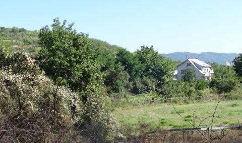 Четвърта кампания за закупуване на поземлени имоти в горски територии, собственост на физически лица - 1