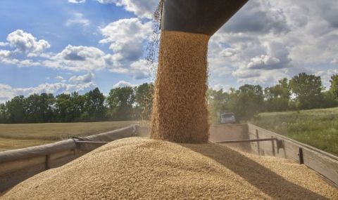  Яни Янев: Забраната на украинския внос е безсмислена - 1