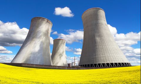 Русия удължава забраната за износ на рапица - 1