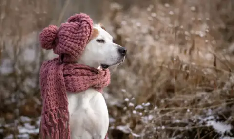 Времето днес, прогноза за събота, 17 януари: Слънчево, но мразовито