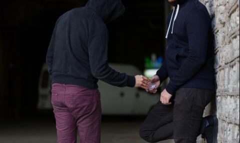 Хлапета в Родопите печелят големи пари от наркотици - 1