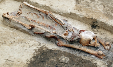 Археолози откриха &quot;вампири&quot; и в Полша - 1