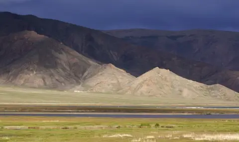 В Казахстан 10 милиона хектара земя са върнати на държавата - 1