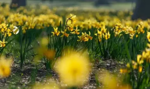 Времето днес, прогноза за вторник, 14 април: Слънчево, по-значителна облачност над Северозапада и южните планини - 1