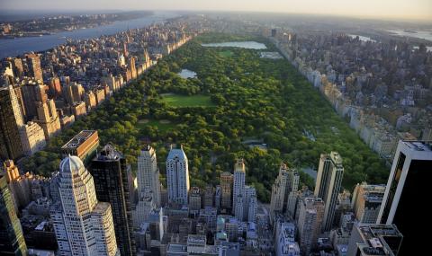 Ню Йорк може да използва парковете си за гробища - 1