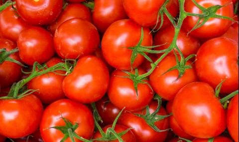Как да запазим доматите свежи - 1