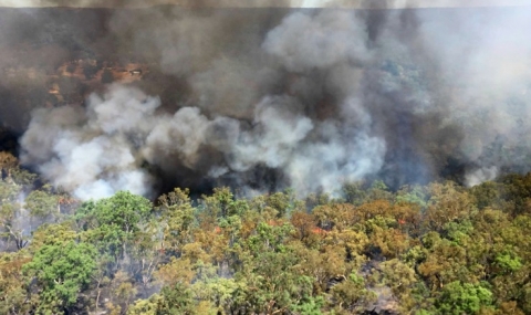 Пламъци в Австралия! Борба с над 80 горски пожара - 1