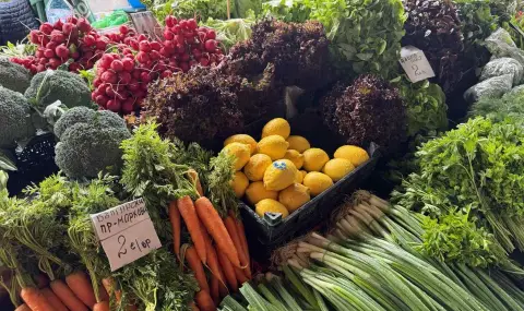 БКПЗ: Българските плодове и зеленчуци не могат да оцелеят в тази среда