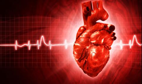 4 продукта, които убиват сърцето ви (ИНФОГРАФИКА) - 1
