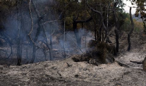 Седми пореден ден Албания се бори с пожар в горски масив  - 1