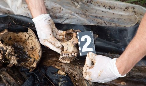 Археолози са извлекли ДНК от човешки скелет на 6000 години - 1