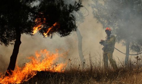 Големи горски пожари в четири турски окръга - 1