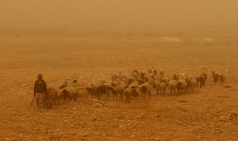 Смъртоносна пясъчна буря в Близкия изток - 1