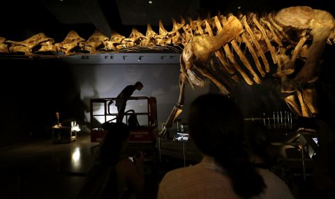 Откриха уникален динозавър - 1