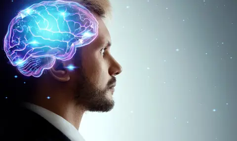 Учени: Човешкият мозък е нараснал с почти 7%, но коефициентът на интелигентност е намалял - 1