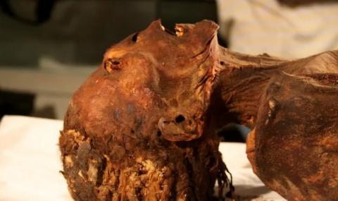 Учени разкриха мистерията за смъртта на "крещящата мумия" от Египет - 1