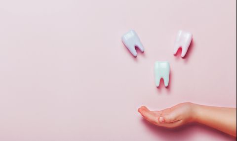 Знаете ли, че бебешките зъби могат да спасят живота ви? - 1