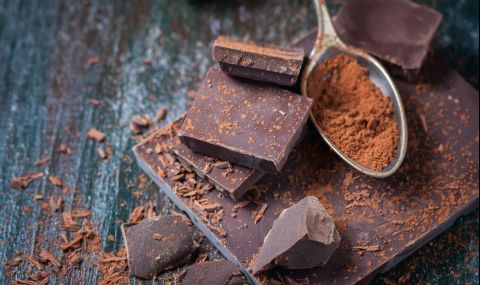 Белгия: Шоколадовата фабрика се справи със салмонелата - 1