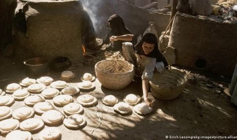 Цените на хляба: Защо Египет зависи от тях на живот и смърт - 1