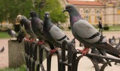 Дъждовна събота в Западна България - 1