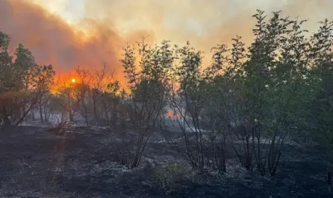 8000 дка вече горят в Сакар, верижни машини прокарват просеки - 1