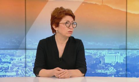 Рена Стефанова: Кандидатурата на Каримански ще се гласува, ако не бъде оттеглена - 1