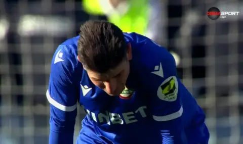 До какво може да доведе прекратяването на пловдивското берби? - 1