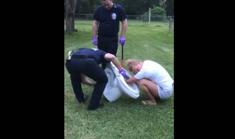 Скапаният ден на една американка (Видео) - 1