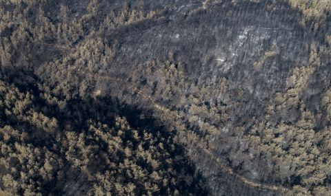 ПКК продължава с опитите за подпалване на гори в Турция - 1