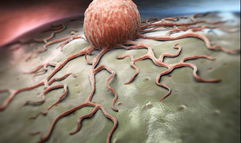 Учени разкриха причината за появата на рака - 1