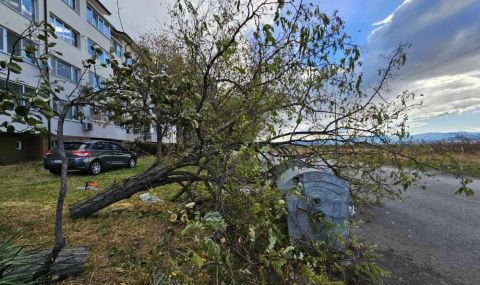 Ураган от над 100 км в час изкорени дървета в Сопот - 1