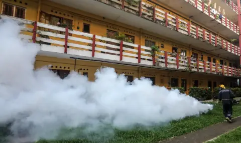 Над 1300 случая на чикунгуня треска в Южен Китай  - 1