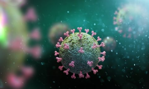 Мутация на коронавируса заобикаля антителата - 1